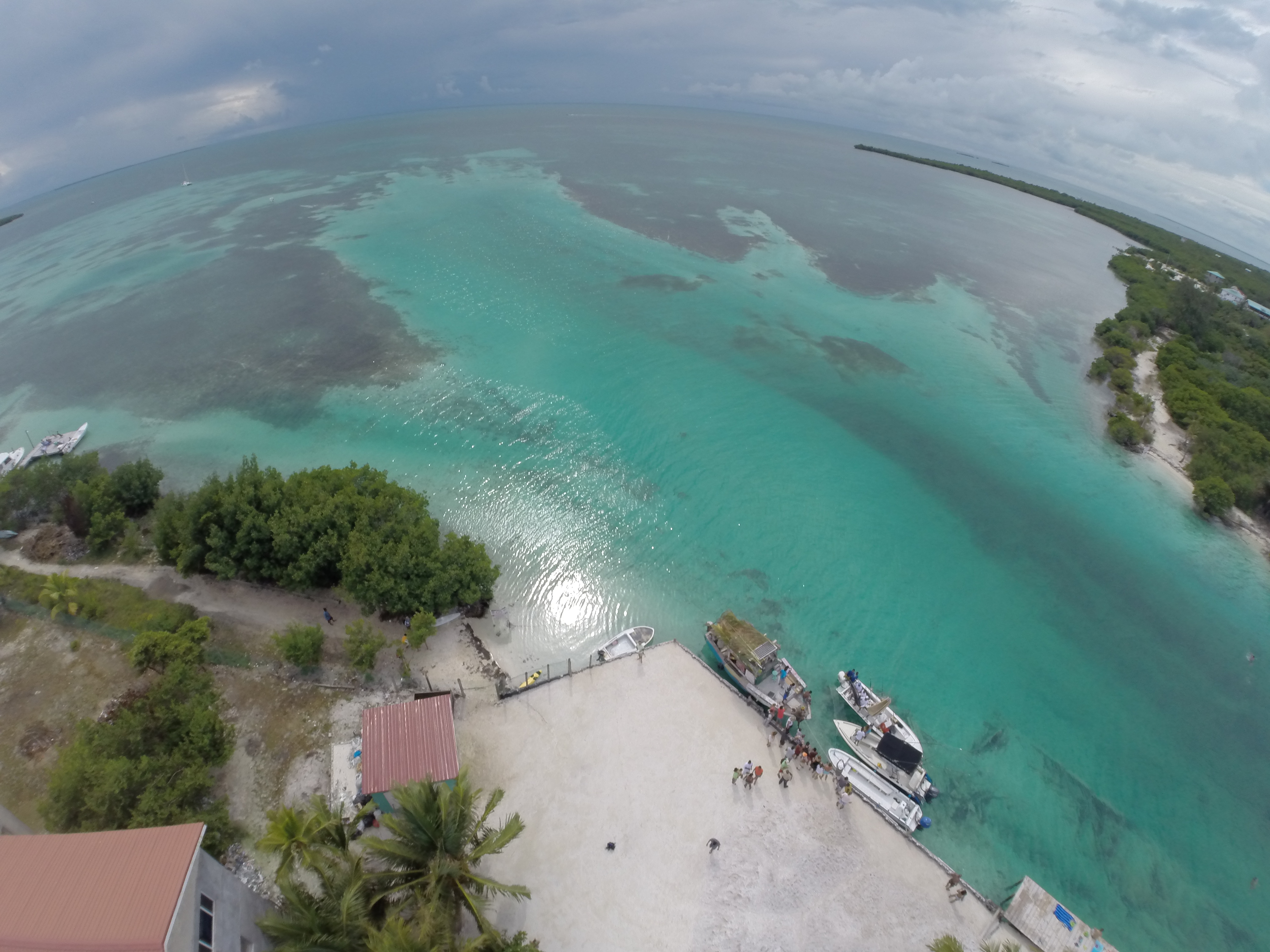 Explore the Belize Barrier Reef
