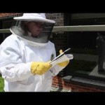 Georgia Tech Urban Honeybee Project