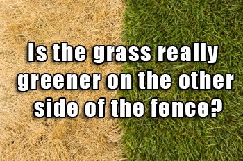 Meme saying "Is the grass really greener on the other side of the fence?" with a picture of green grass on the right and dry grass on the left.
