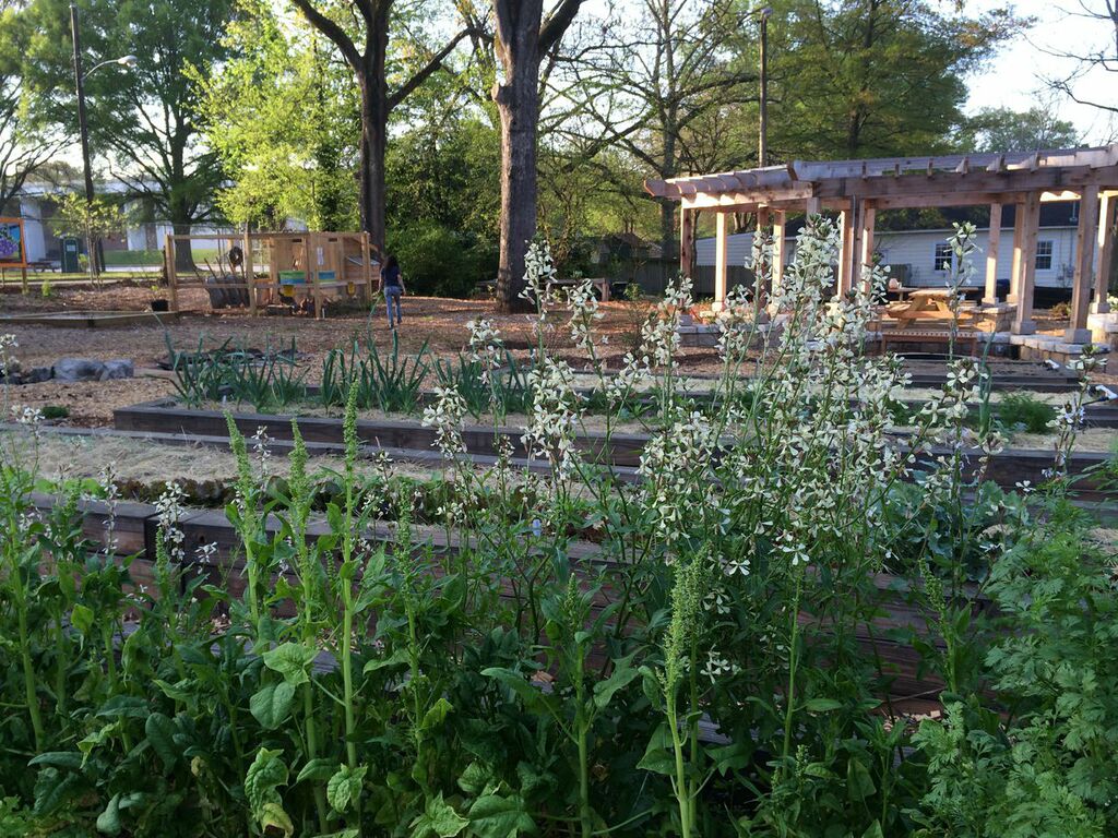 Community Learning Garden