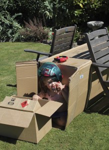Kids & Cardboard Box 5
