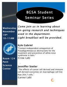 2014.11 BGSA Student Seminar Flyer