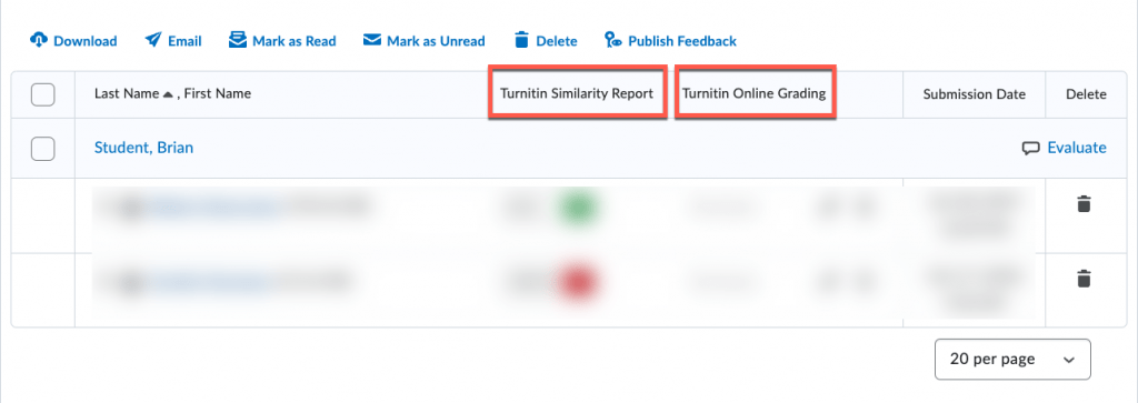 Image of the assignment submission window with the Turnitin columns highlighted.