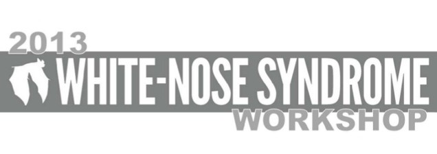2013 White-Nose Syndrome Workshop
