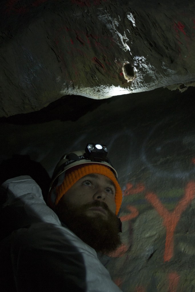 White River Cave near Rockmart Georgia perimyotis myotis bats spelunking caving underground Kyle Gabriel Chris Cornelison