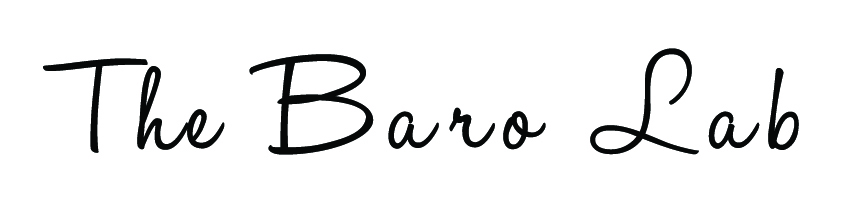 The Baro Lab