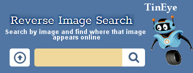 TinEye's Image Search Box