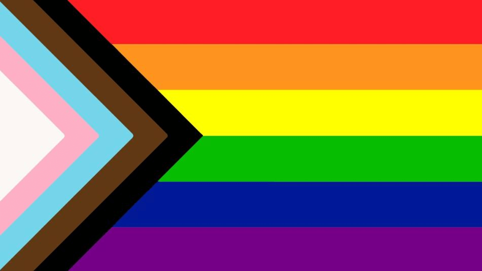 picture of 2SLGBTQIA+ flag