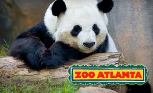 Zoo-Atlanta-coupons-Atlanta