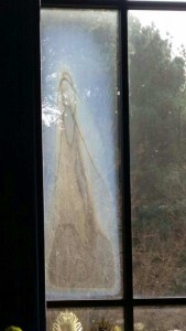 Beautiful Miracle of the Virgin Mary on the window of the Bishop Hall in Transfiguration Catholic Church
