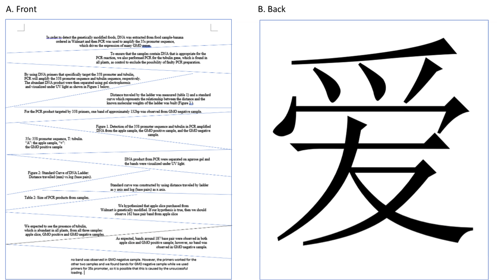 Figure 2. The printed document with all sentences in the front (A) and Chinese word (as a special surprise) in the back (B).