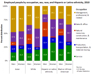 Statistics Chart of Employment by Race and Gender.