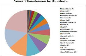 This chart lists multiple reasons for homelessness and their percentages 