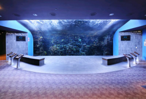 One of the many areas available for receptions. This specific one is located in the Tropical Dive Exhibit.