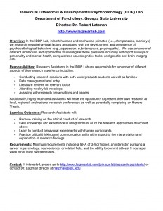 IDDP Research Assistantship Position