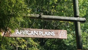 The sign leading to the entrance of the African Plains area of the zoo.