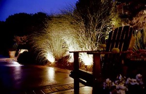 A picture of a backyard at night. The mood that a person feels in the same place at 6 in the evening vs 8 in the morning will vary.